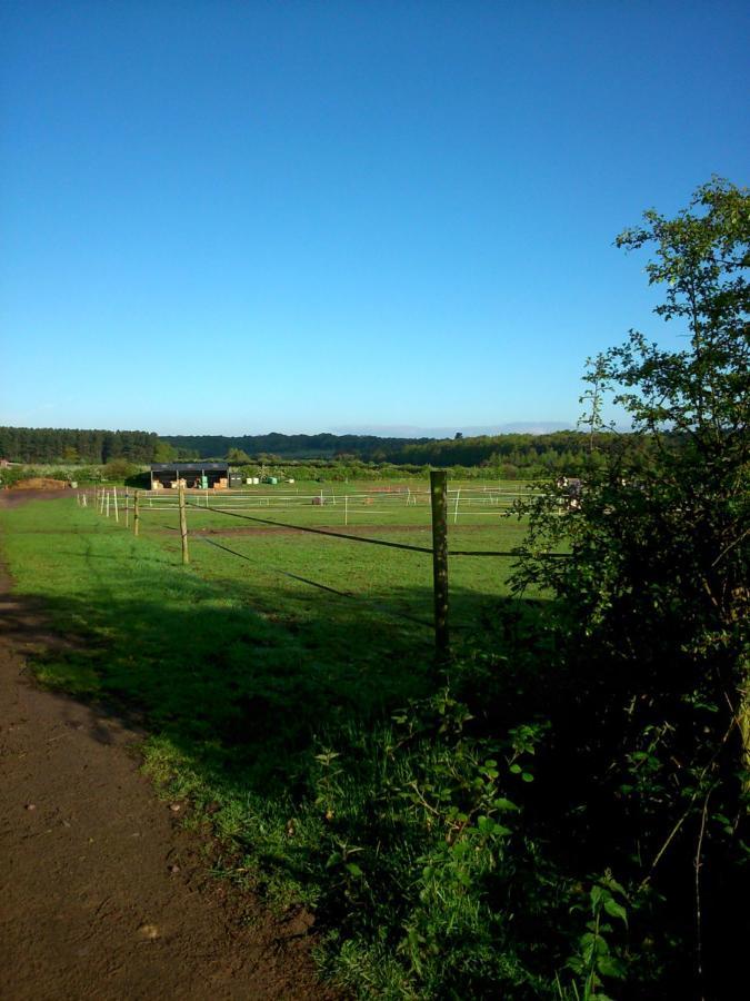 مبيت وإفطار وركسوب Clumber Lane End Farm المظهر الخارجي الصورة