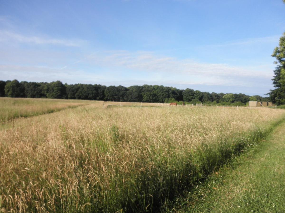 مبيت وإفطار وركسوب Clumber Lane End Farm المظهر الخارجي الصورة